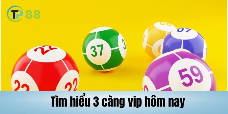 Làm rõ định nghĩa 3 càng VIP hôm nay