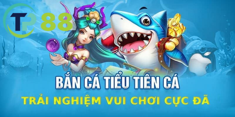 Tham gia vào các hình thức chơi để trải nghiệm tuyệt vời game bắn cá tiểu tiên cá