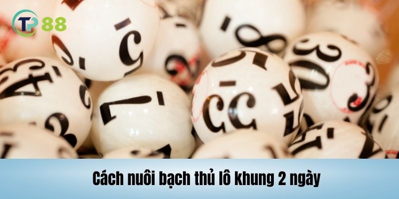 Cách nuôi bạch thủ lô theo quả trám