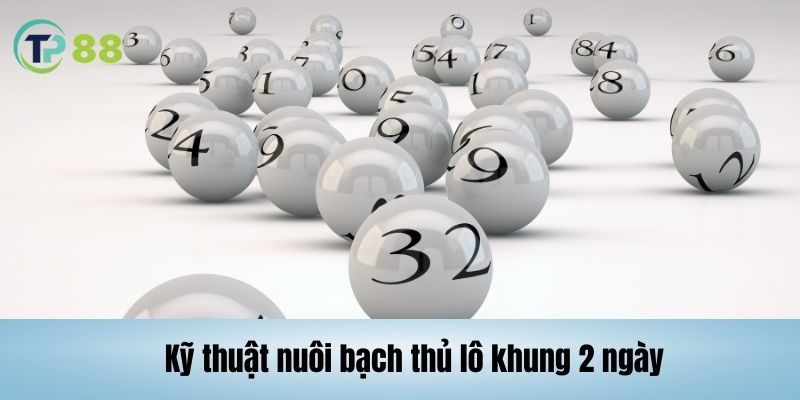 Kỹ thuật nuôi bạch thủ lô khung 2 ngày