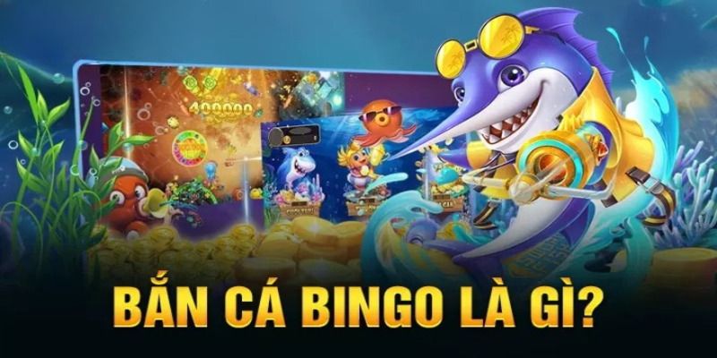 Tìm hiểu khái niệm bắn cá bingo là gì