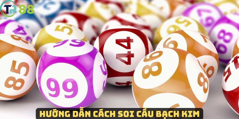 Cách thực hiện ghi lô cùng soi cầu rồng bạch kim